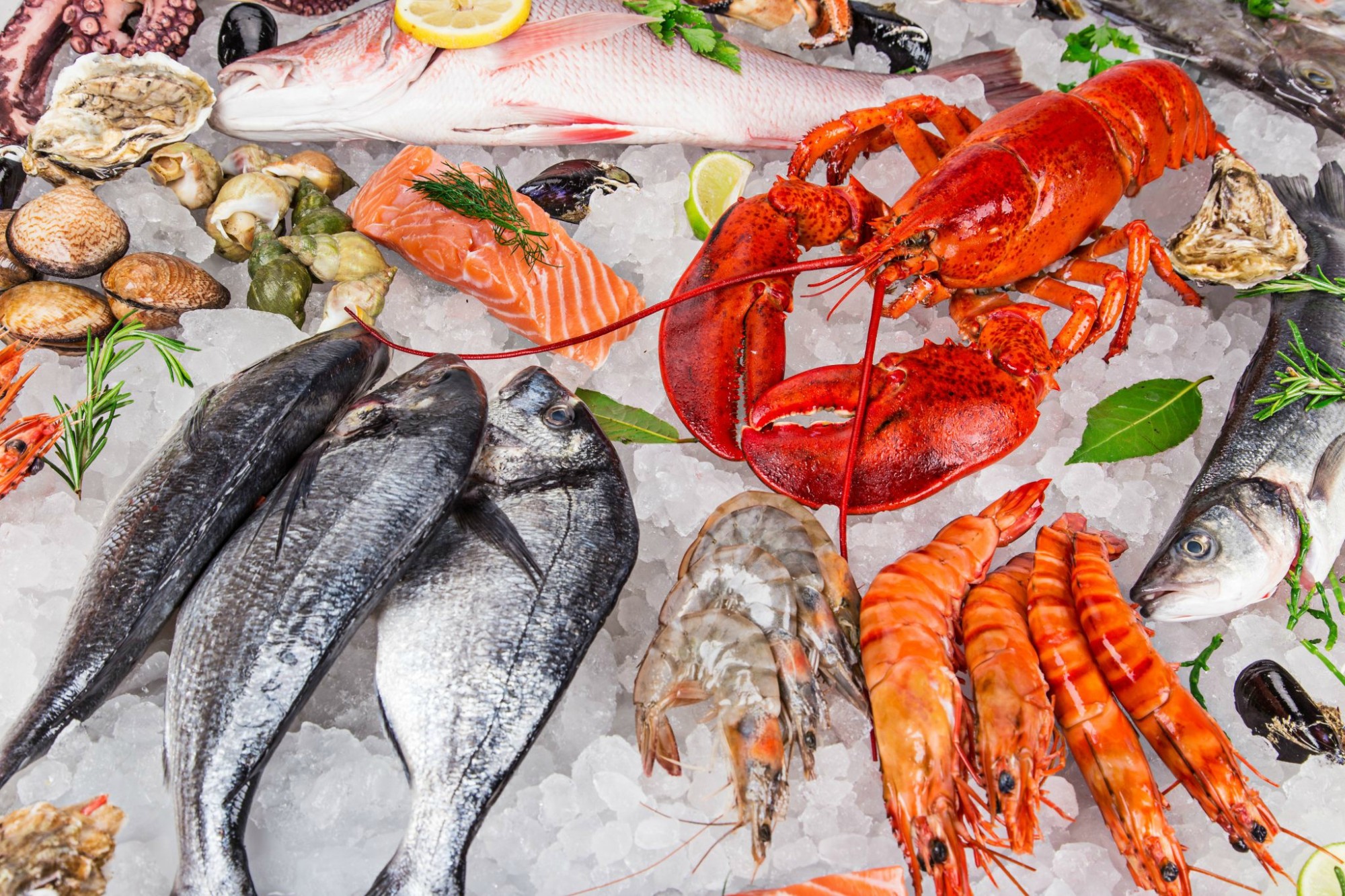 Top 10 địa điểm cung cấp hải sản chất lượng tại Tp Hồ Chí Minh